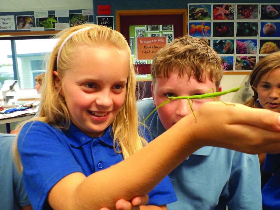 school nz